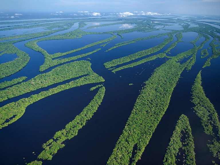 Biodiversity: The next big focus for investors?